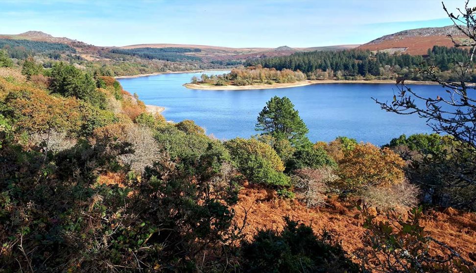 Burrator Reservoir